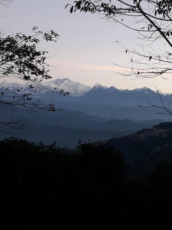 Hotel Himalaya Residency Kanchenjunga View ダージリン エクステリア 写真