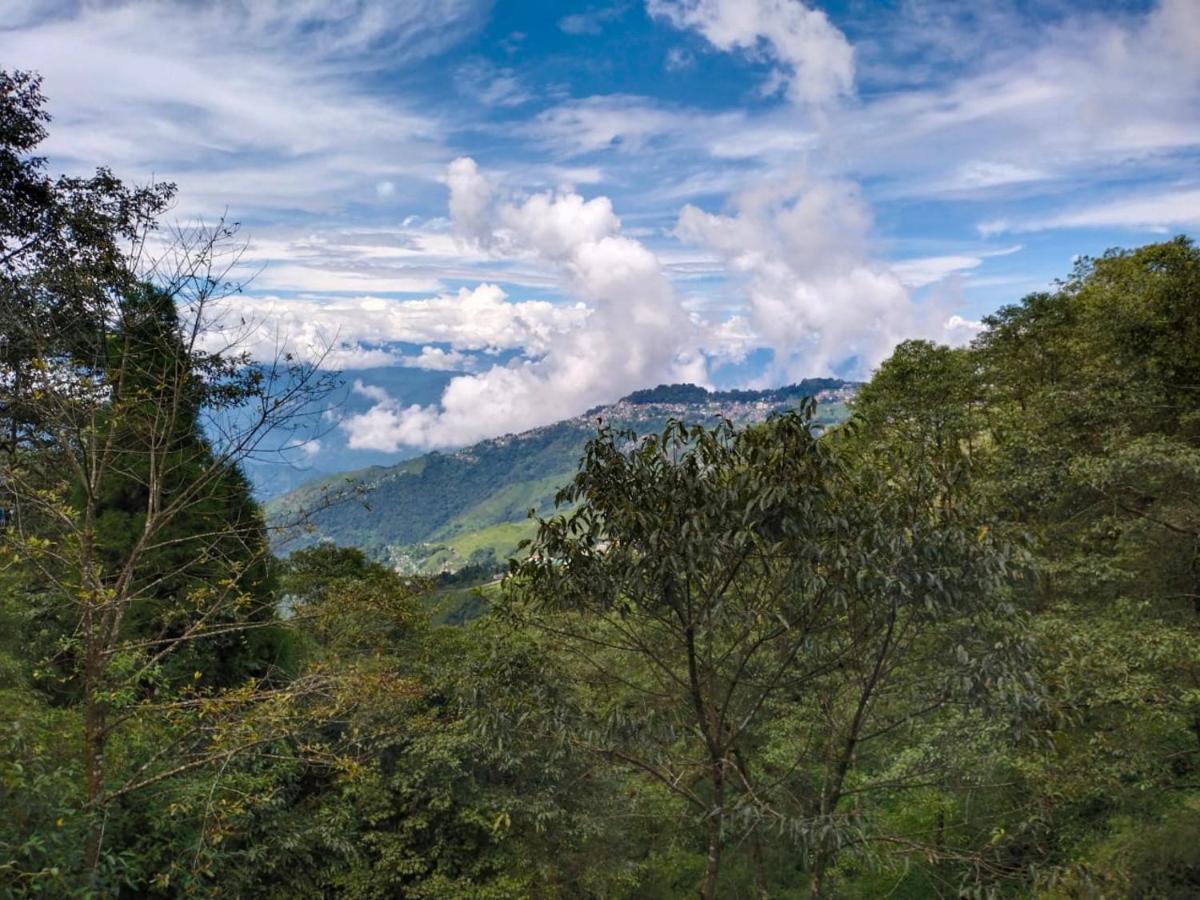 Hotel Himalaya Residency Kanchenjunga View ダージリン エクステリア 写真